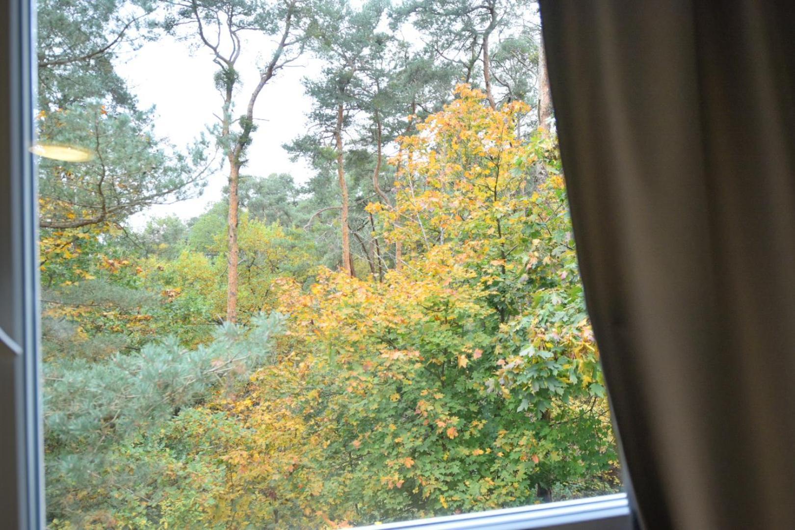Im Mit Eigene Kueche Bad Balkon Parkplatz Netflix Apartment